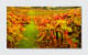 X464UNV Speciality Large Format Display X464UNV Speciality Large Format Display
