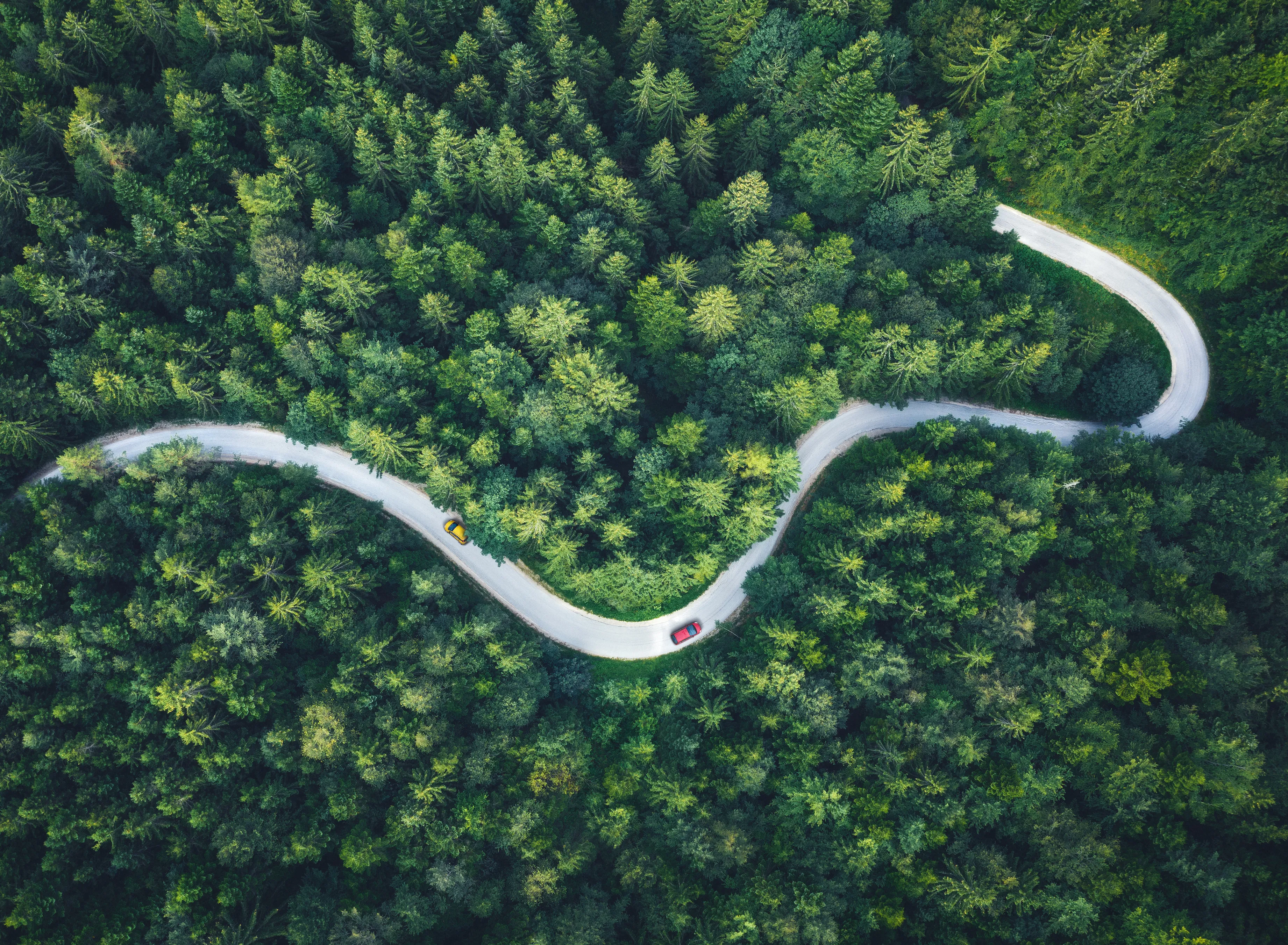 NEC’s commitment to sustainability and SDG impact across ASEAN