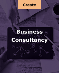 Business Consultancy